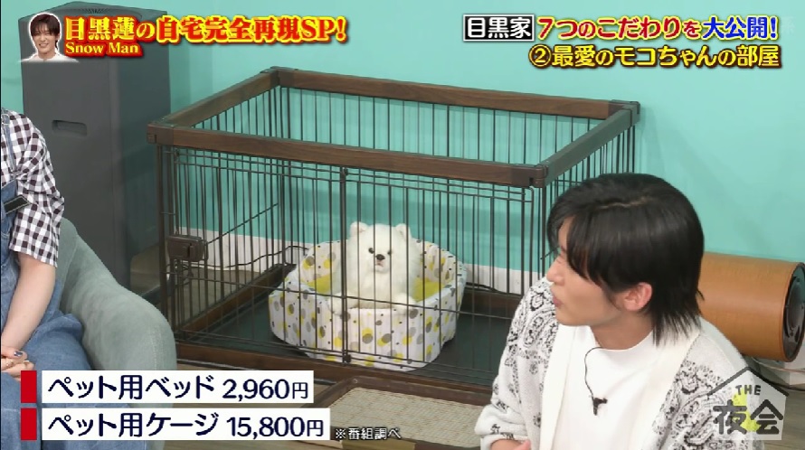 モコちゃんの部屋