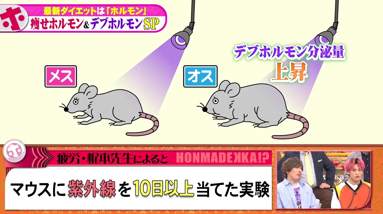 デブホルモンが増える