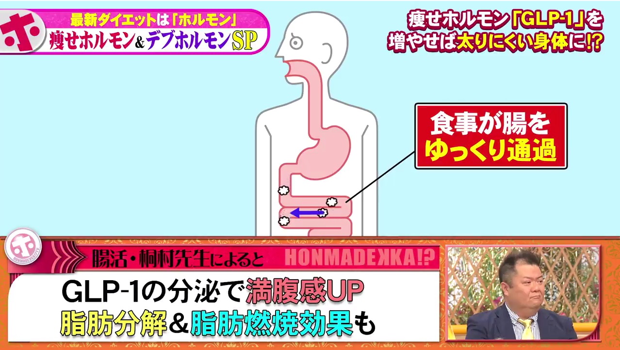 痩せホルモンGLP-1